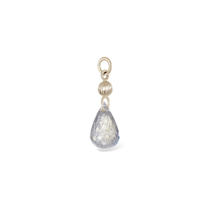 Brio Bead Charm