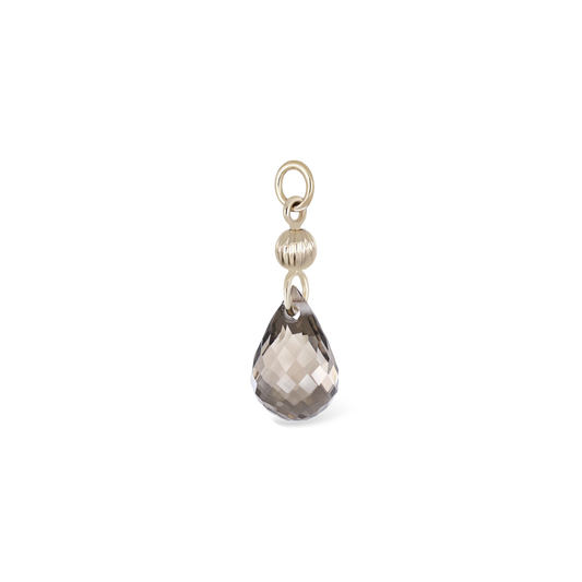 Brio Bead Charm