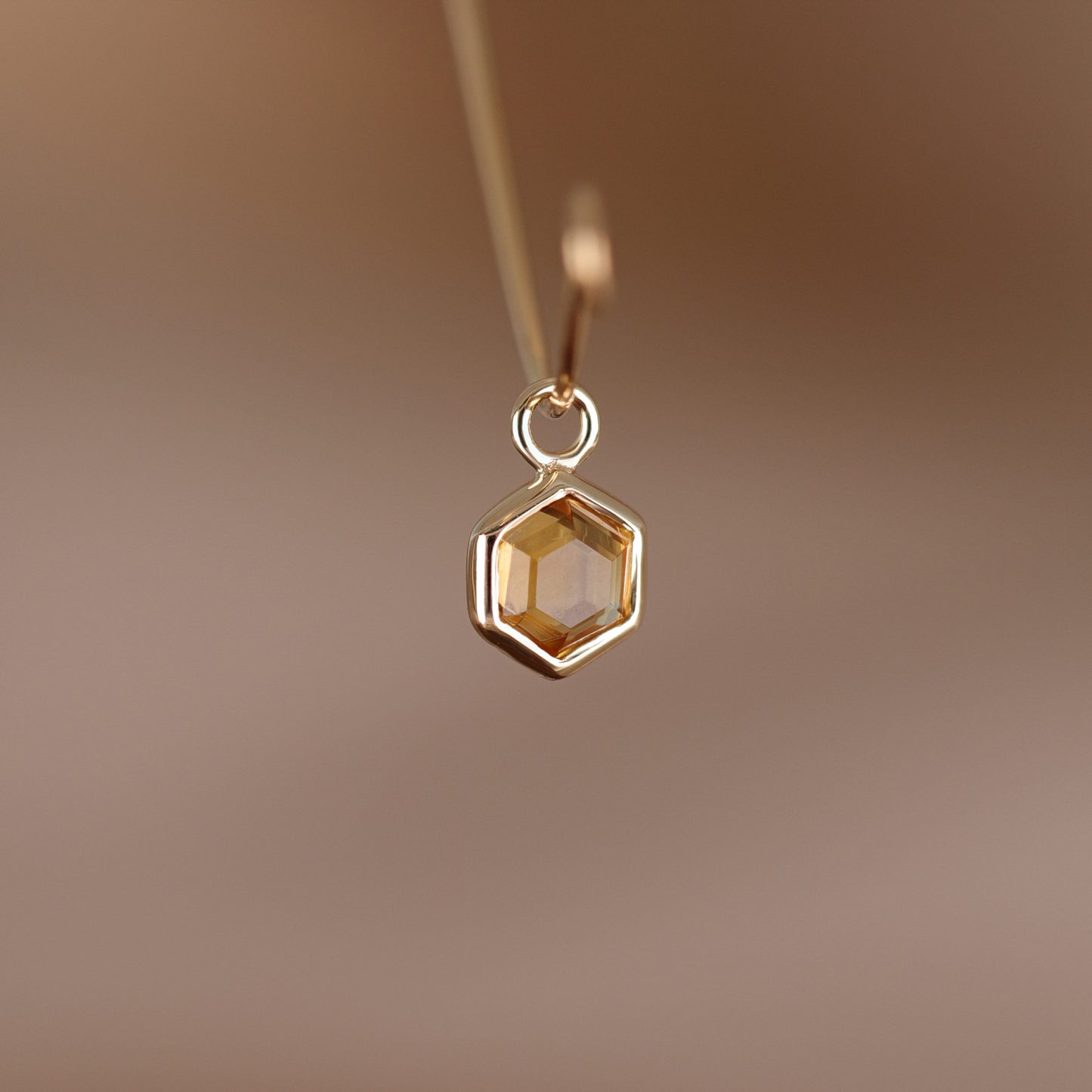 Ela • 14K Gold Hexagon Gemstone Hoop Charm