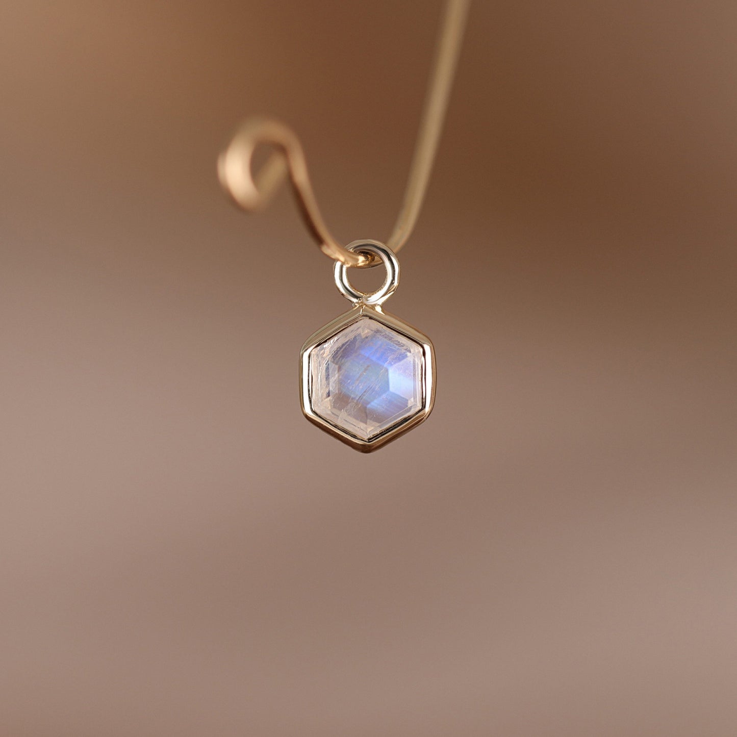 Ela • 14K Gold Hexagon Gemstone Hoop Charm