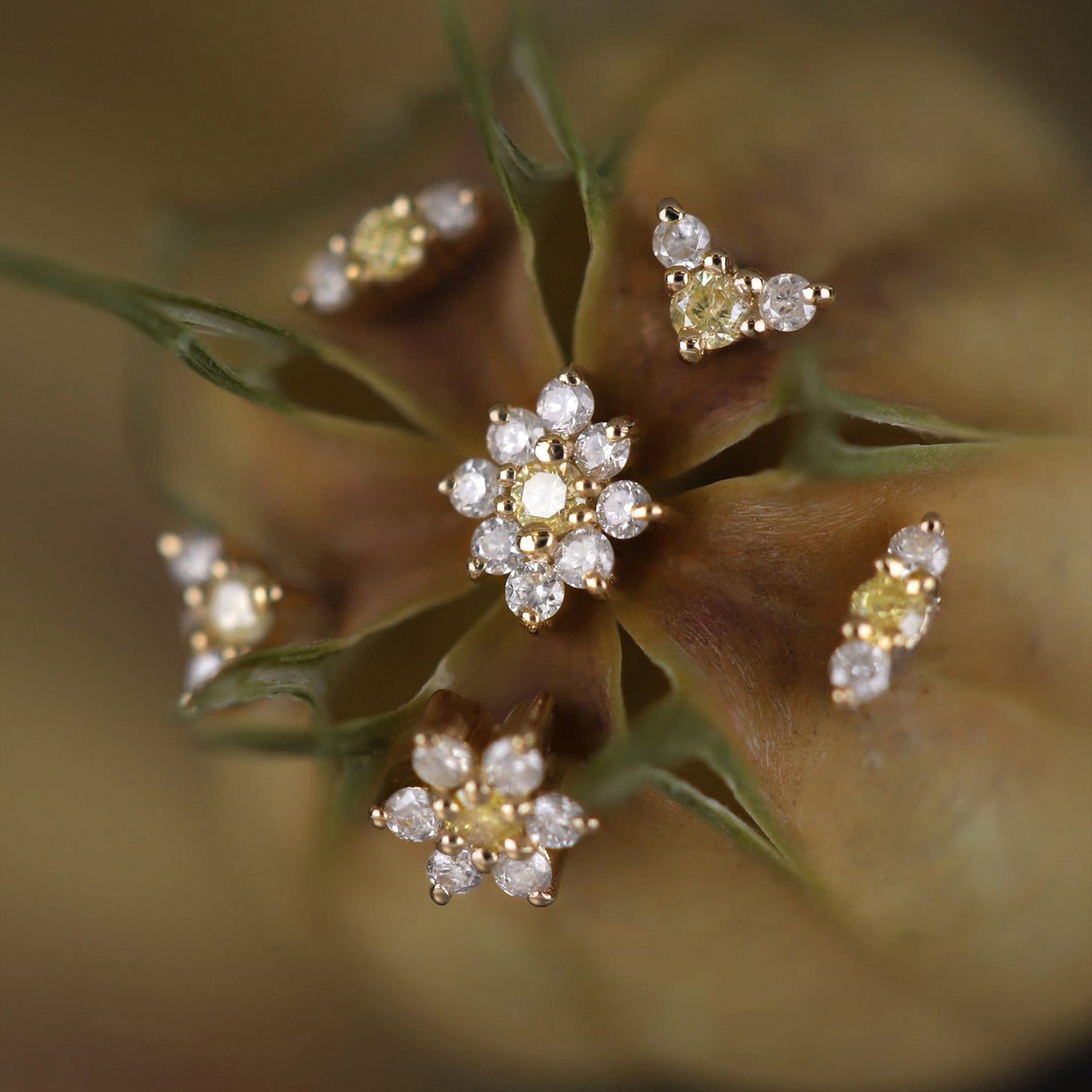 Aster • Tiny Icy Floral Diamond Threadless End