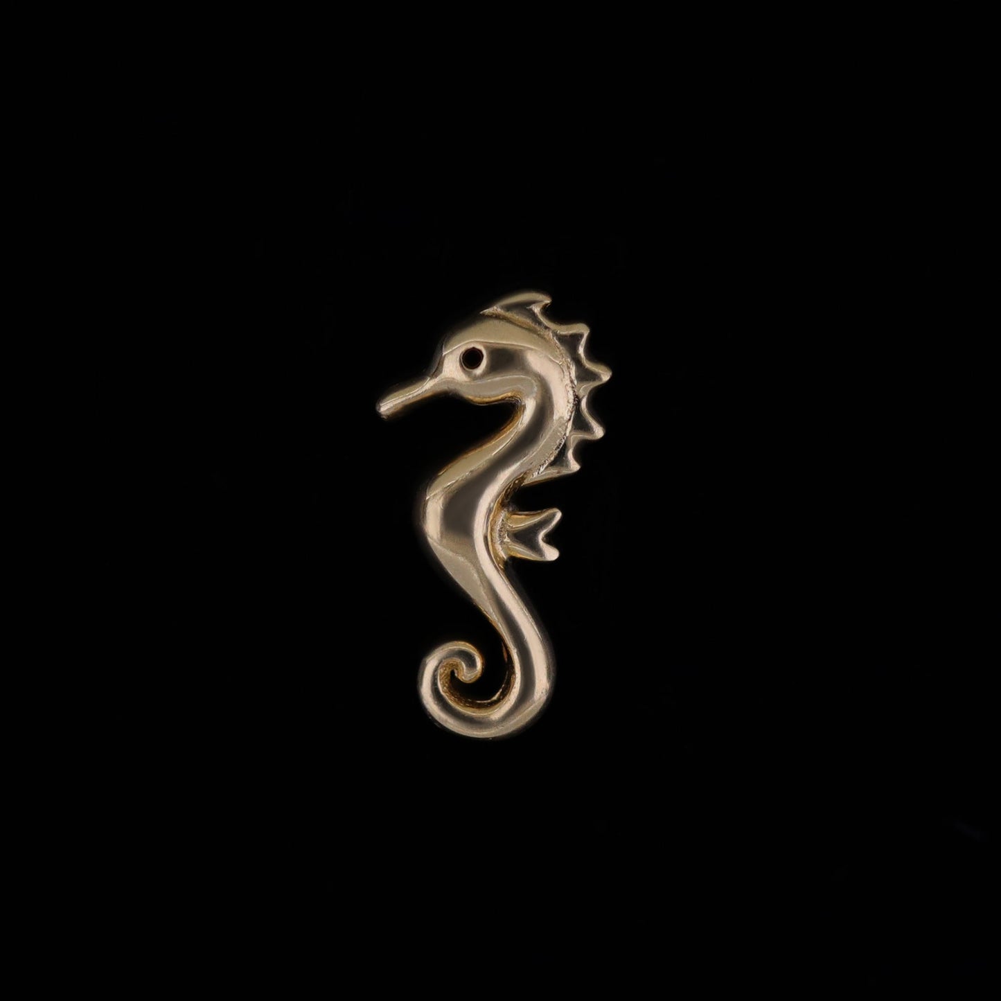 14K Solid Gold Tiny Seahorse Flat Back Earring - BEATTI